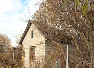 Продается дача, 16 м2, деревня Добрунь