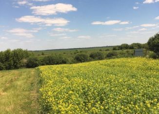 Продам участок, 22.5 сот., село Лебяжье, село Лебяжье, 83/71