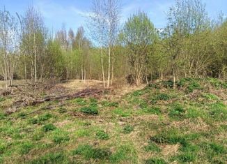 Земельный участок на продажу, 20 сот., Владимирская область