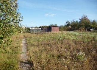 Продаю участок, 10 сот., Курская область, село Клюква, 85