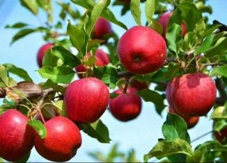 Продается дом, 12 м2, Прокопьевск, СТ Шахтёр, 109