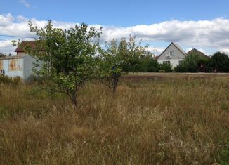 Продажа участка, 15 сот., село Казинка
