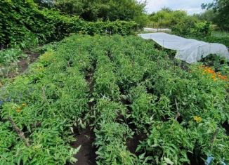 Продам участок, 6 сот., СНТ Аэропорт-2