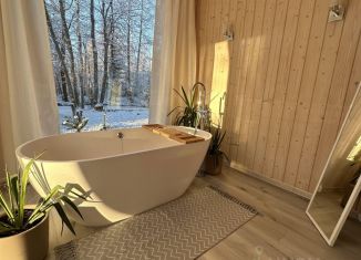 Аренда дома, 38 м2, поселок Беличье, Щербаковская улица, 8