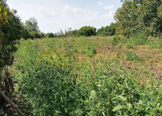 Продается земельный участок, 25 сот., Краснодарский край, Береговая улица, 20