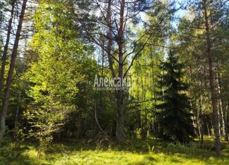 Участок на продажу, 20 сот., Ленинградская область