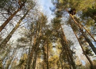 Продается земельный участок, 8.4 сот., село Деревянное, улица Савкины Поля