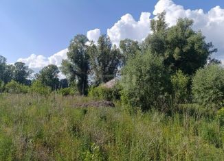 Продам земельный участок, 100 сот., село Майма