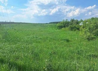 Продажа земельного участка, 10 сот., Рязанская область, Пронская улица, 95
