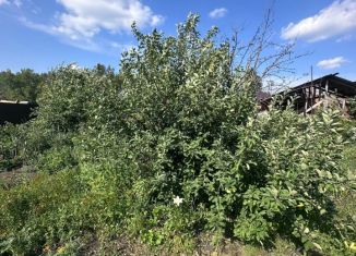 Участок на продажу, 6.2 сот., Омская область, ТСН СНТ Любитель-3, 114