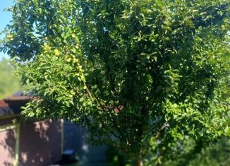 Продается дом, 80 м2, Тульская область, дачный посёлок Пряники, 201