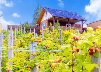 Продажа дачи, 30 м2, Красноярский край, СНТ Богатырь, 35