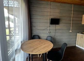 Сдаю в аренду дом, 25 м2, Республика Алтай, СНТ Катунь, 24