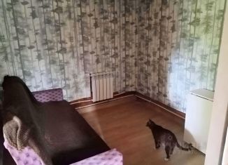 Продается дом, 30 м2, Пермь, улица Смирнова, 99