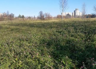 Земельный участок на продажу, 19 сот., деревня Пихтулино