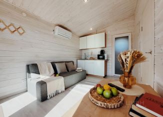 Сдается в аренду дом, 40 м2, Лаишево, улица Карла Маркса, 170