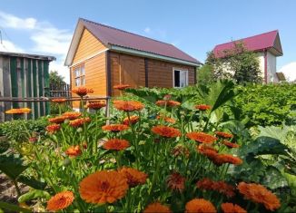 Продаю дом, 29 м2, Марий Эл, 4-й квартал, 5/14