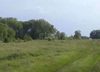 Продаю участок, 10 сот., Курская область, улица Тургенева, 53