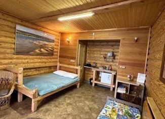 Сдается дом, 25 м2, Самара, Кировский район, улица Берег реки Волги, 81