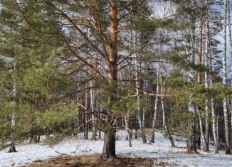 Продам участок, 48.8 сот., Республика Алтай