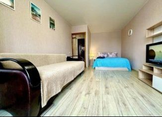 Аренда однокомнатной квартиры, 35 м2, Рязань, площадь Димитрова, 3