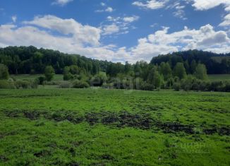 Продам участок, 410 сот., Алтайский край, Новая улица