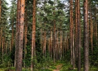 Продается земельный участок, 935.07 сот., село Турочак
