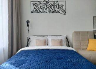 Сдаю в аренду квартиру студию, 21 м2, Ярославль