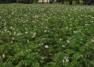 Продается земельный участок, 11 сот., Курская область, СНТ Русское Поле, 247