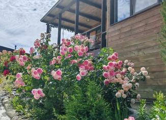Сдам в аренду дом, 30 м2, Крым, ТСН Створ, 6/4