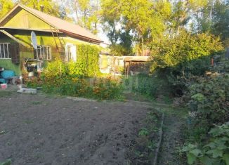 Продажа дома, 39 м2, Амурская область, Загородная улица, 28