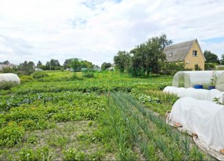 Участок на продажу, 12 сот., село Кокино, Нагорная улица, 2А