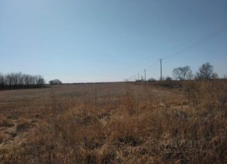 Продаю участок, 5000 сот., село Каникурган