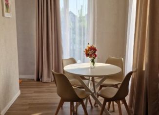 Дом в аренду, 80 м2, Новосибирская область, 3-я улица Строителей, 3