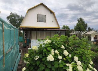 Продажа дачи, 50 м2, Кемеровская область, СНТ Яблочко, 428