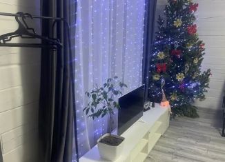 Сдается в аренду дом, 35 м2, Республика Алтай, Серебряная улица, 2