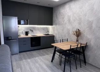 Аренда однокомнатной квартиры, 48 м2, Иркутская область, улица Шмидта, 6