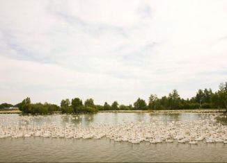 Складское помещение на продажу, 43584.4 м2, Курганская область, улица Давыдова, 19А