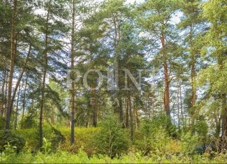 Продаю земельный участок, 19.06 сот., деревня Калчуга