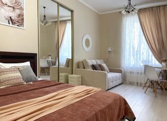 Аренда 1-ком. квартиры, 29 м2, Пятигорск, проспект Кирова, 75