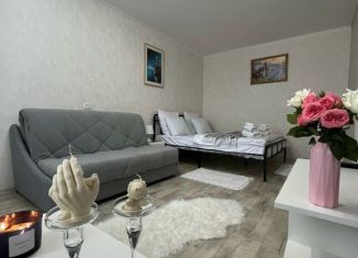 Аренда 2-ком. квартиры, 50 м2, Камышин, 7-й микрорайон, 25