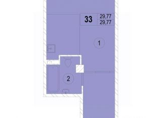 Продается квартира студия, 29.77 м2, Приморский край, улица Хмельницкого, 9А