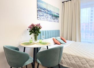 Сдается в аренду квартира студия, 23 м2, Москва, Боровское шоссе, 2к3, ЗАО
