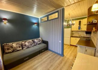 Сдается в аренду квартира студия, 28 м2, Северодвинск, улица Торцева, 14