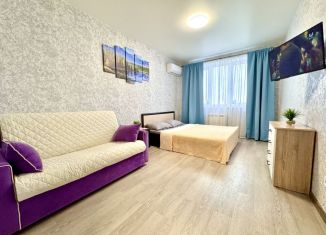 Сдам в аренду 1-ком. квартиру, 43 м2, Самарская область, проспект Карла Маркса, 246
