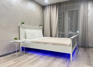 Аренда 1-ком. квартиры, 43 м2, Амурская область, улица Василенко, 7