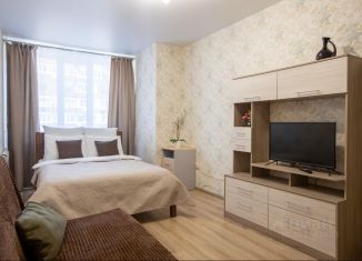 Сдаю 1-комнатную квартиру, 40 м2, Самара, Силовая улица, 6, метро Безымянка