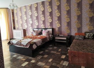 Сдаю в аренду 1-ком. квартиру, 50 м2, Воронеж, улица Моисеева, 10, Ленинский район