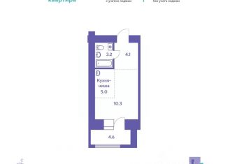 Продаю однокомнатную квартиру, 24.9 м2, село Чигири