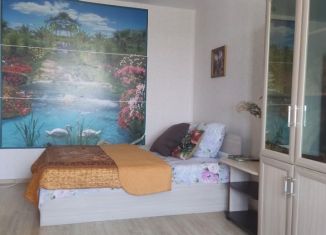 Сдается однокомнатная квартира, 39 м2, Воронеж, улица Димитрова, 51А, Железнодорожный район